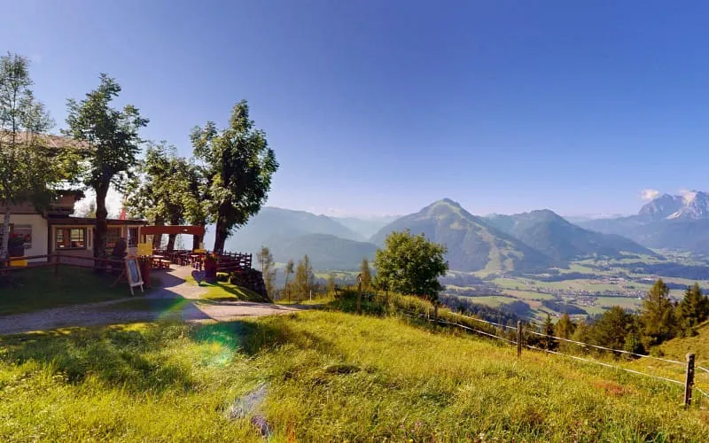 taubensee08122024_133201.jpg